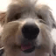 fergmolina icon